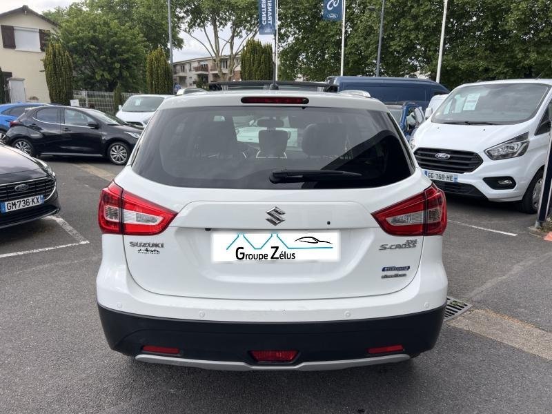 suzuki - Visuel 4