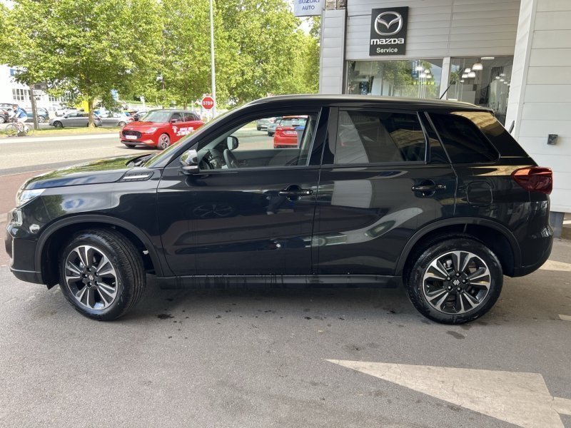 suzuki - Visuel 2