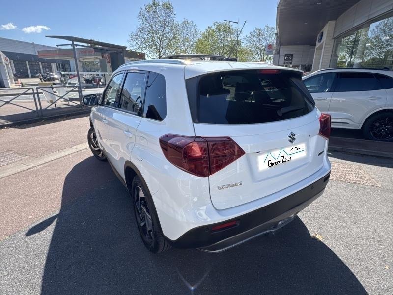 suzuki - Visuel 2