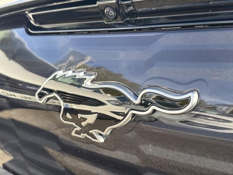 ford - Visuel 8