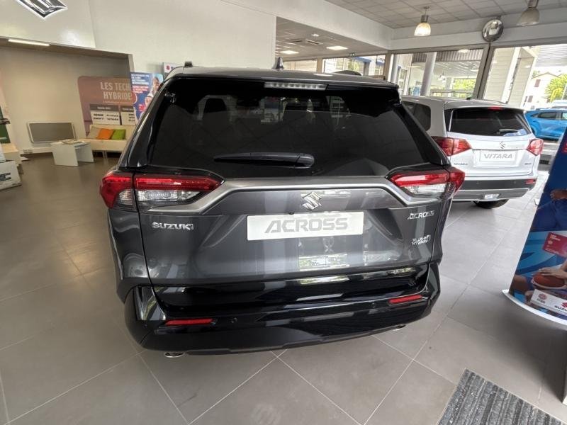 suzuki - Visuel 5