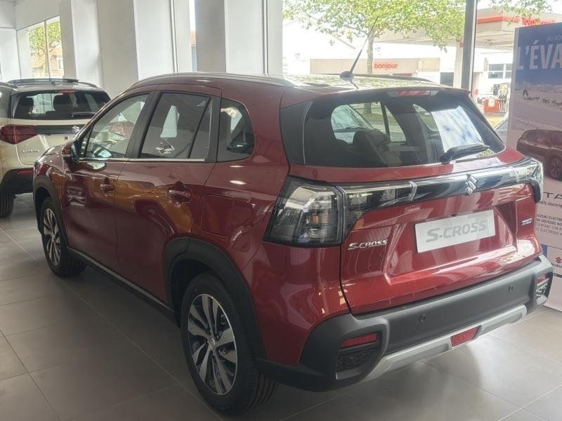 suzuki - Visuel 2
