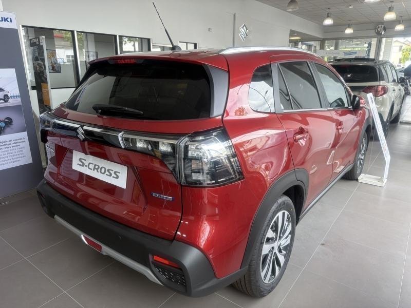 suzuki - Visuel 3
