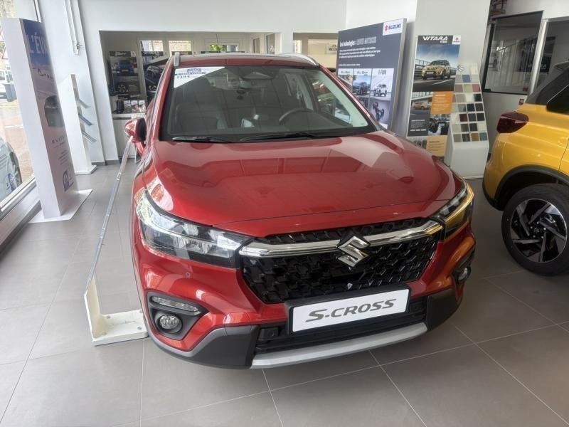 suzuki - Visuel 4