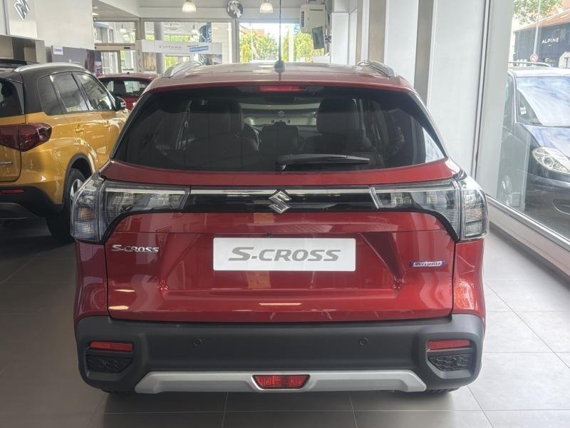 suzuki - Visuel 5