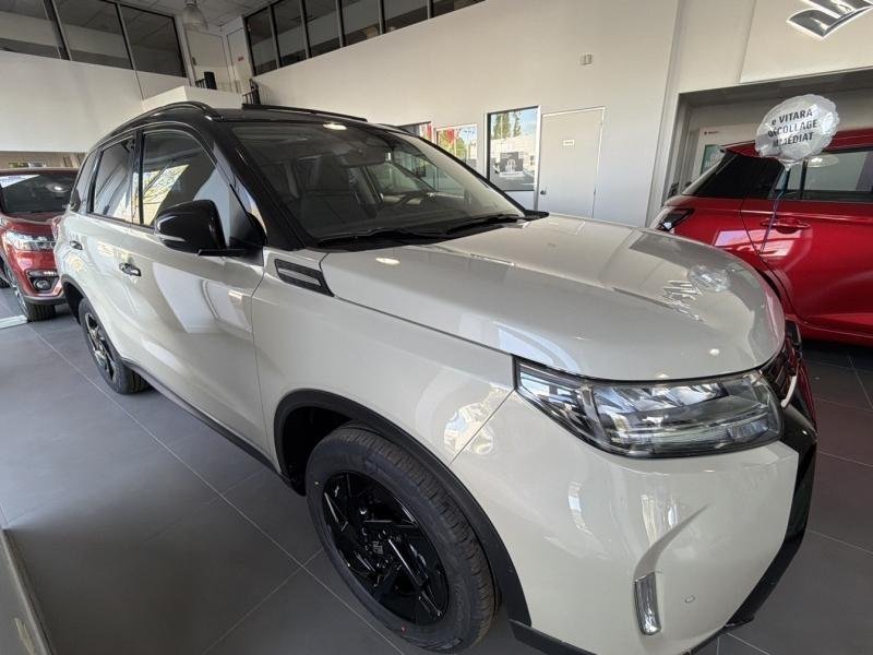 suzuki - Visuel 1