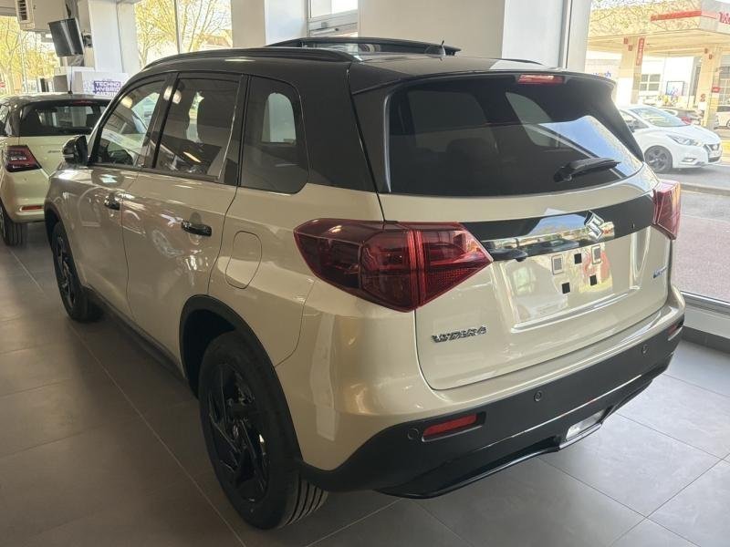 suzuki - Visuel 2