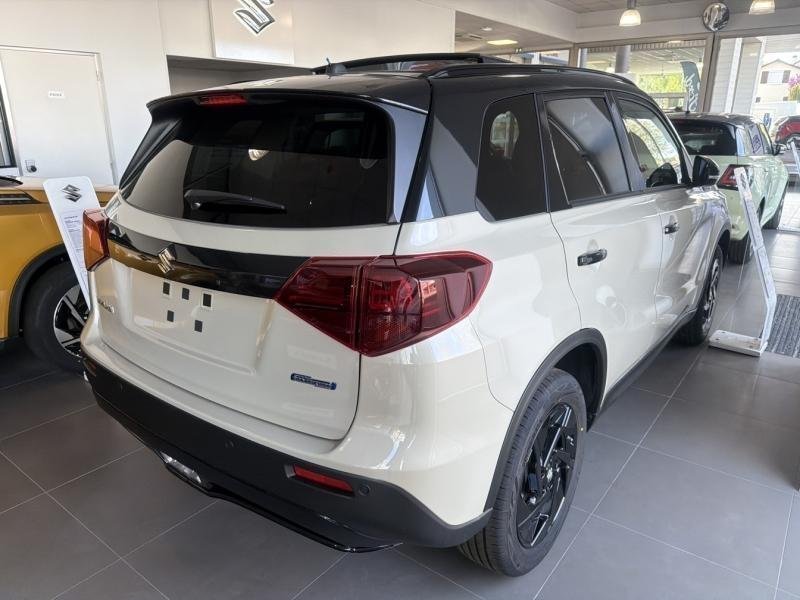 suzuki - Visuel 3