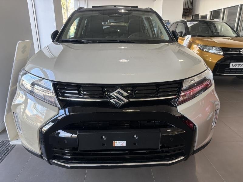 suzuki - Visuel 4