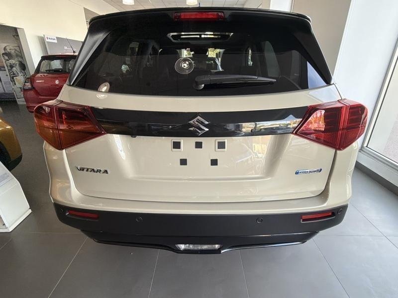 suzuki - Visuel 5