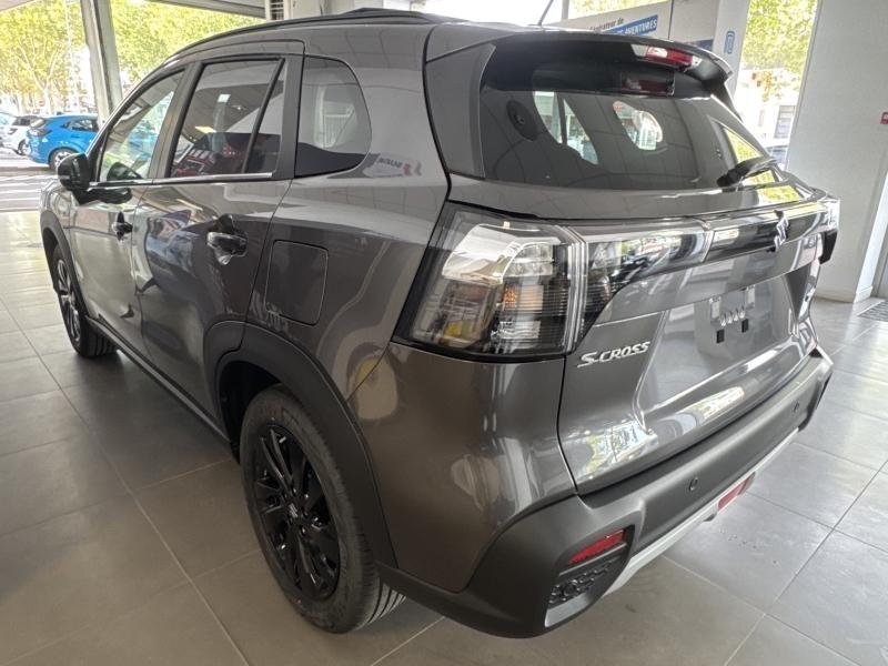 suzuki - Visuel 2