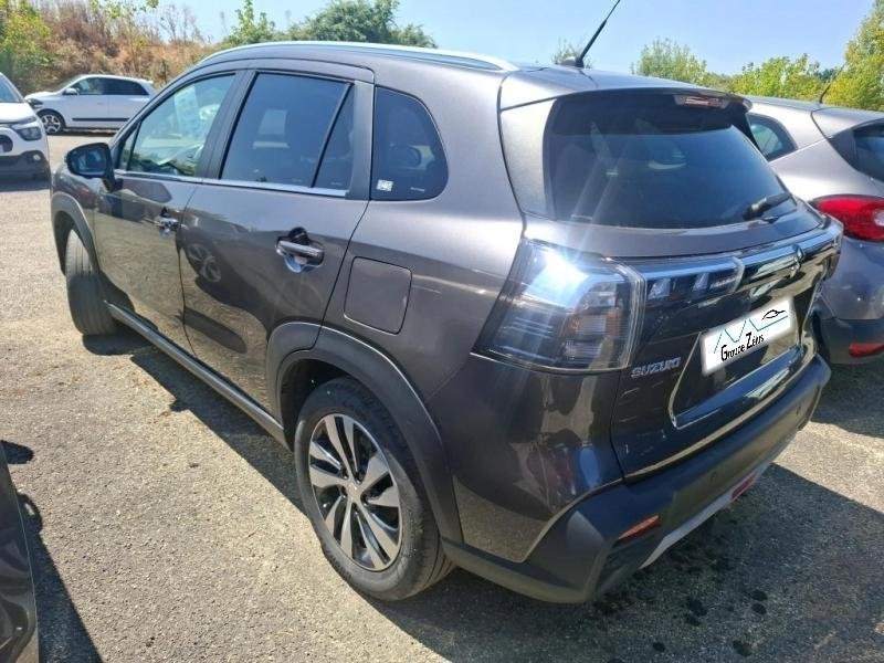 suzuki - Visuel 3