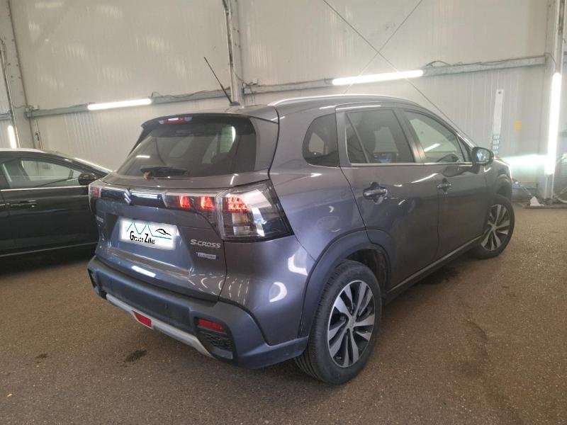 suzuki - Visuel 1